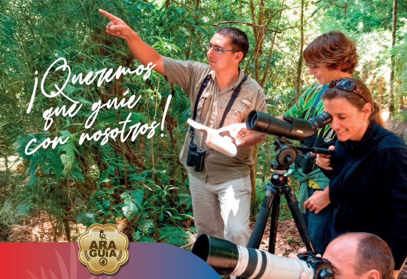 Capacitación para Transportistas